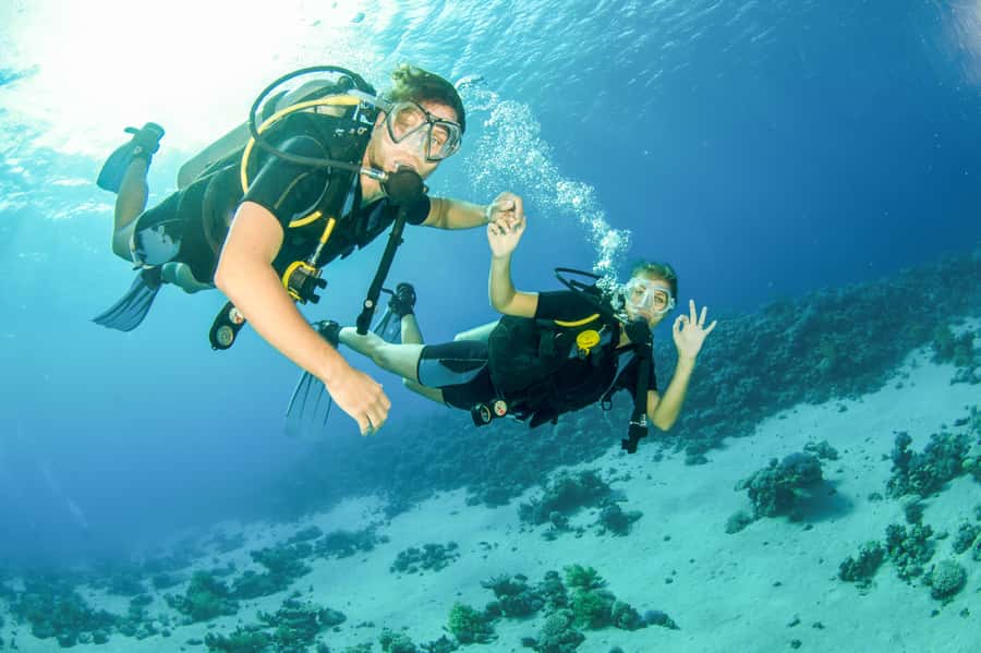From Dubai: Fujairah Half-Day Scuba Dive and Snorkeling - Why Fujairah makes a good change from Dubai