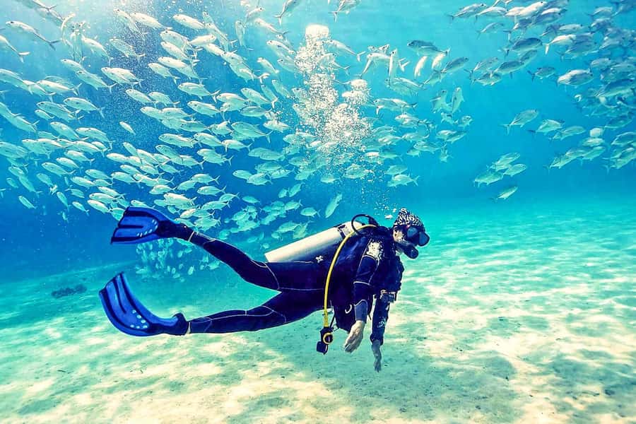 From Dubai: Fujairah Half-Day Scuba Dive and Snorkeling - What happens when you arrive in Fujairah