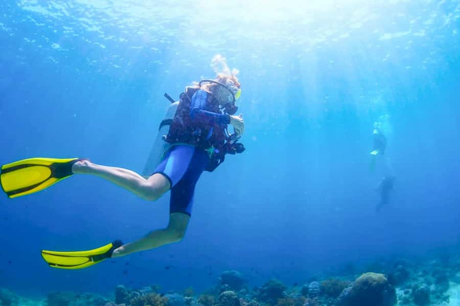 From Dubai: Fujairah Scuba Dive and Snorkeling - From Dubai to Fujairah, a long morning on the road