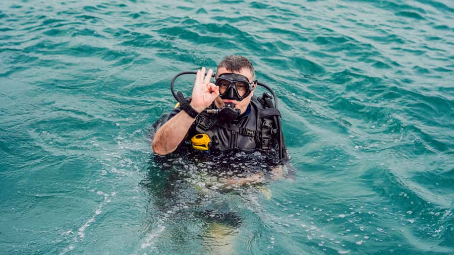 From Dubai: Fujairah Scuba Dive and Snorkeling - Is $157 a fair price?