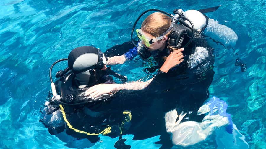 From Dubai: Fujairah Scuba Dive and Snorkeling - Who should book this Fujairah outing?