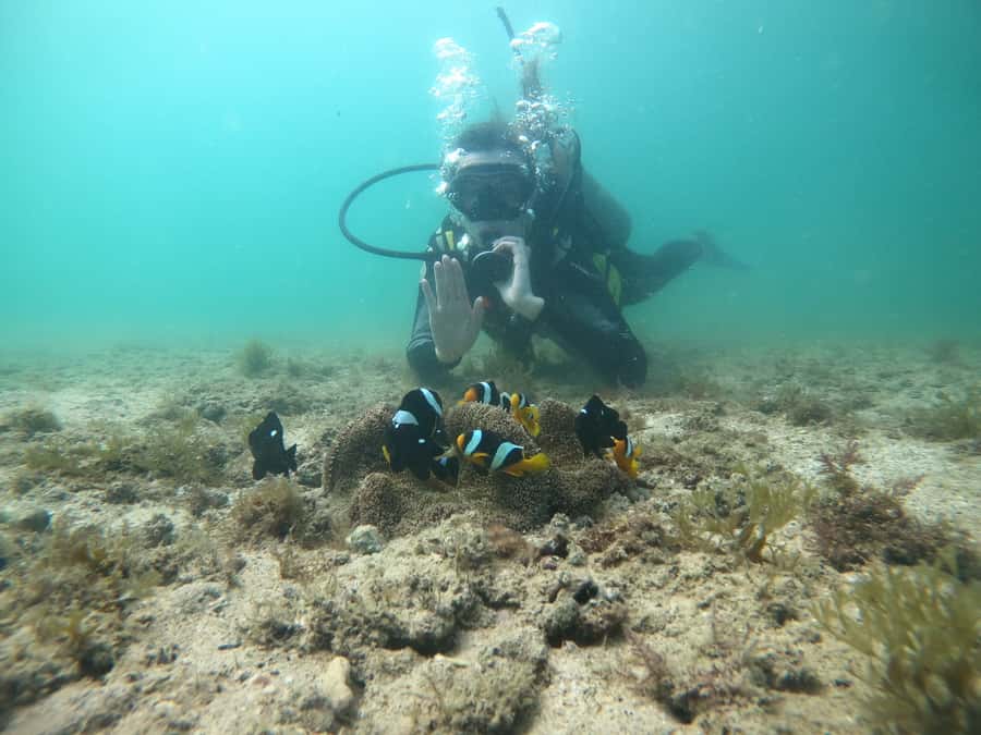 From Dubai: Fujairah Scuba Dive and Snorkeling - Should you book it?