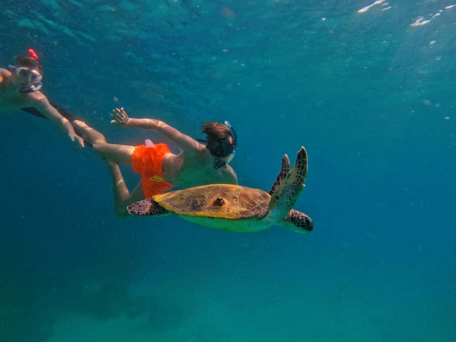 From Dubai: Fujairah Snorkeling with Turtles, Transfer & BBQ - Leaving Dubai for Fujairah’s east coast