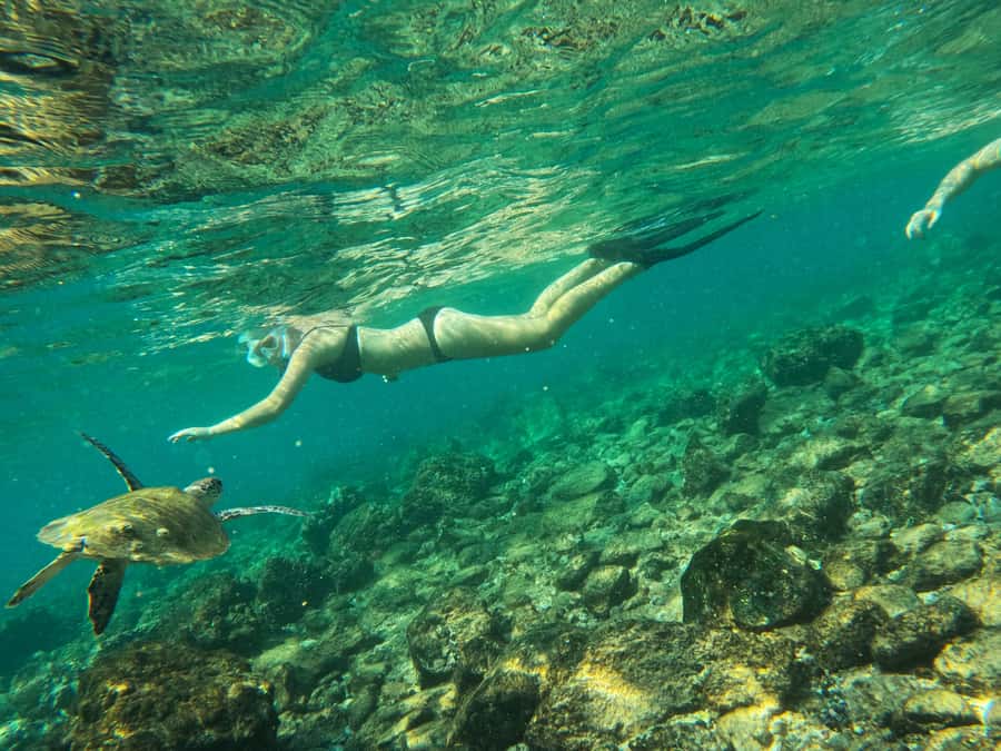 From Dubai: Fujairah Snorkeling with Turtles, Transfer & BBQ - Snoopy Island and the first 90 minutes in the water