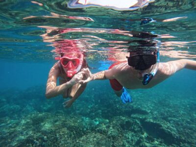 From Dubai: Fujairah Snorkeling with Turtles, Transfer & BBQ
