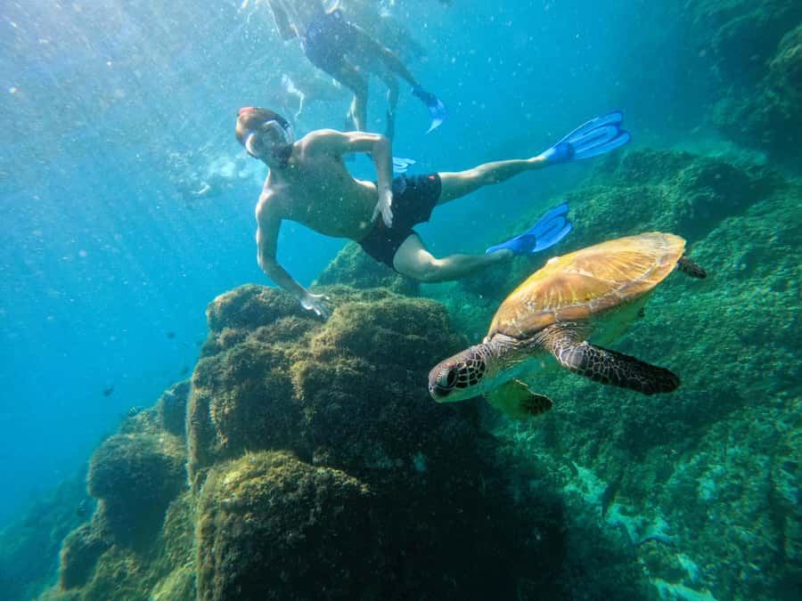 From Dubai: Fujairah Snorkeling with Turtles, Transfer & BBQ - Sharm Rocks and a second chance at marine life