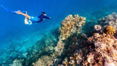 From Dubai: Snorkeling Trip to Dibba Al-Fujairah