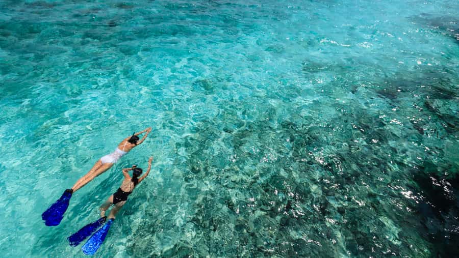 From Dubai: Snorkeling Trip to Dibba Al-Fujairah - The best and less successful parts of the service