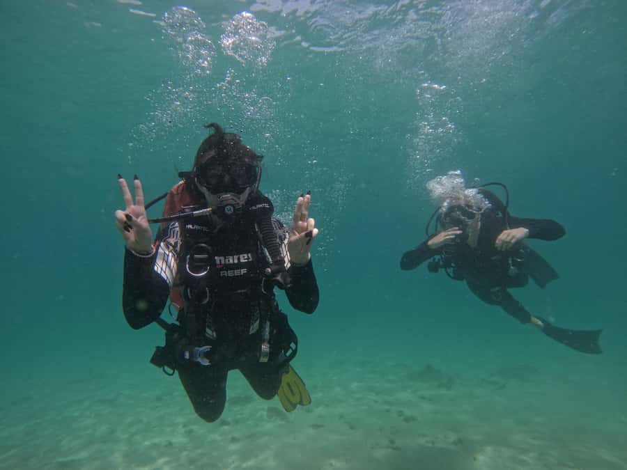 From Dubai: Try Scuba Diving, Snorkeling with BBQ & Transfer - BBQ Lunch at Reef Oasis