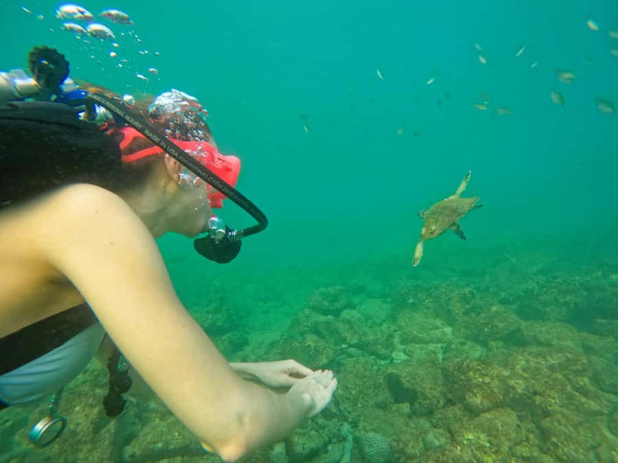 From Dubai: Try Scuba Diving, Snorkeling with BBQ & Transfer - Three Short Stops on the Return Route