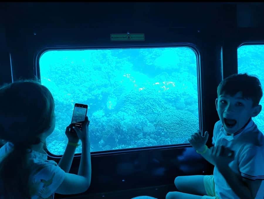 From El Gouna: Royal Seascope Submarine with Snorkel Stop - Coral reefs, fish, and the question of dolphins