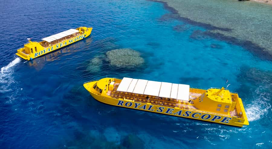 From El Gouna: Royal Seascope Submarine with Snorkel Stop - What you see from the 3-meter underwater cabin