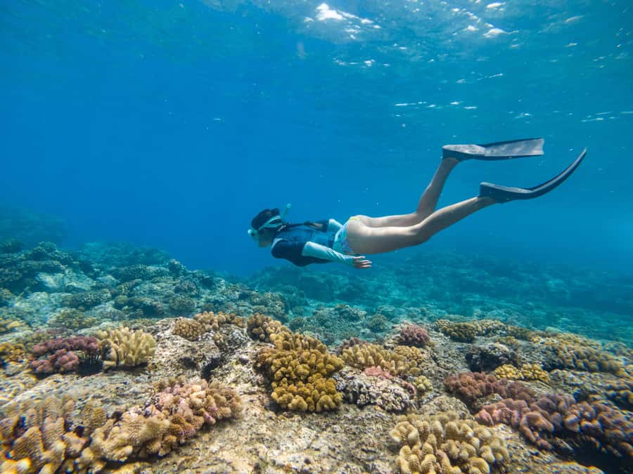 From Fajardo: Boat and Snorkeling in Culebra Island with All-Inclusive - Why this Culebra boat trip works so well