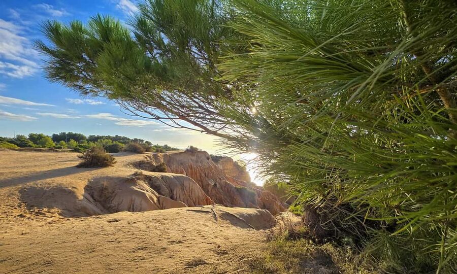 From Faro: 7 Valleys Hiking, Benagil Cave, & Snorkeling Tour - What to pack for the six-hour outing