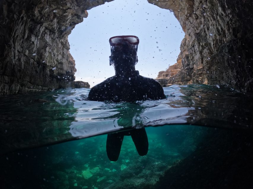 From Fazana: Dolphin watching and snorkeling in Blue Cave - The skipper makes the difference