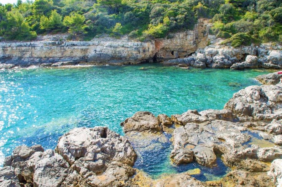 From Fažana: snorkeling at sea cave and Brijuni Island - Who will enjoy this outing most?