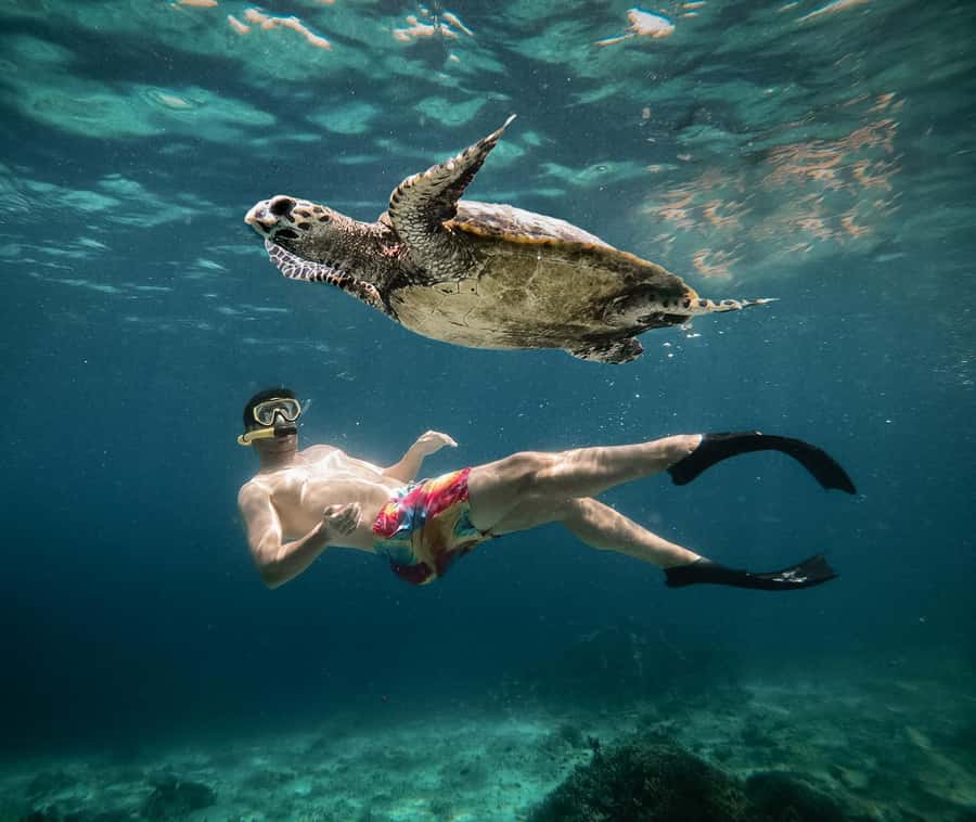 From Gili Air: Snorkeling with Turtles & Underwater Statue - A simple launch from Gili Air