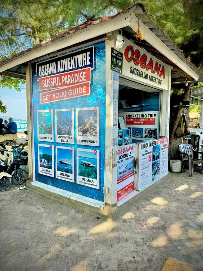 From Gili Air: Snorkeling with Turtles & Underwater Statue - Coral, fish, and the value of several stops