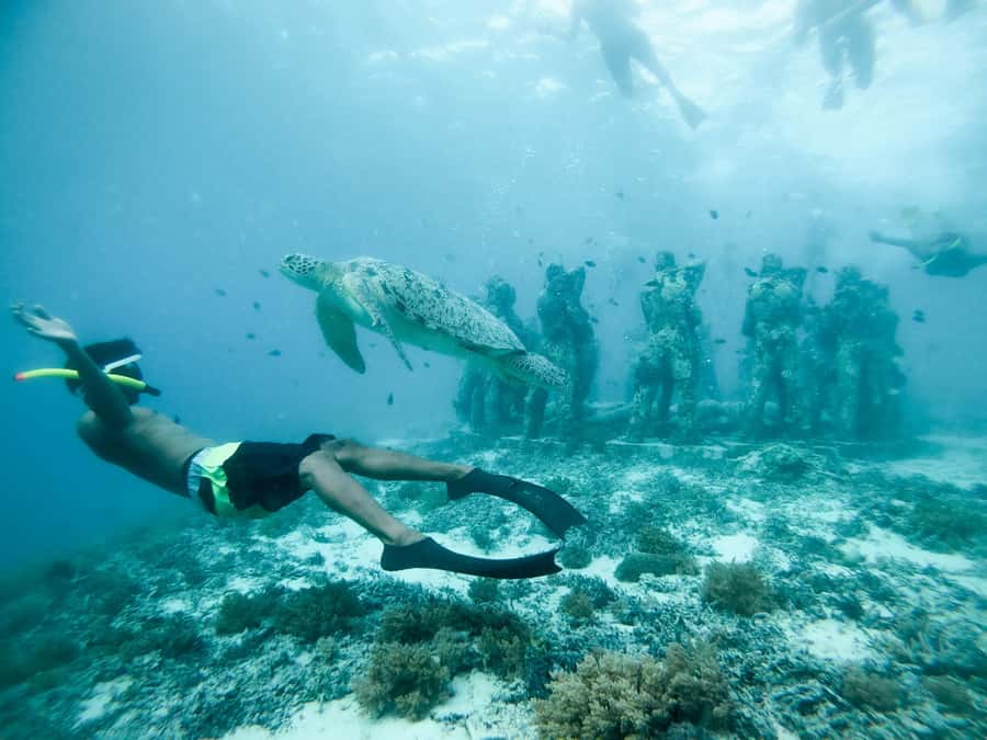 From Gili Meno: Private Snorkeling with Turtle & Statue - Who will enjoy this trip most?