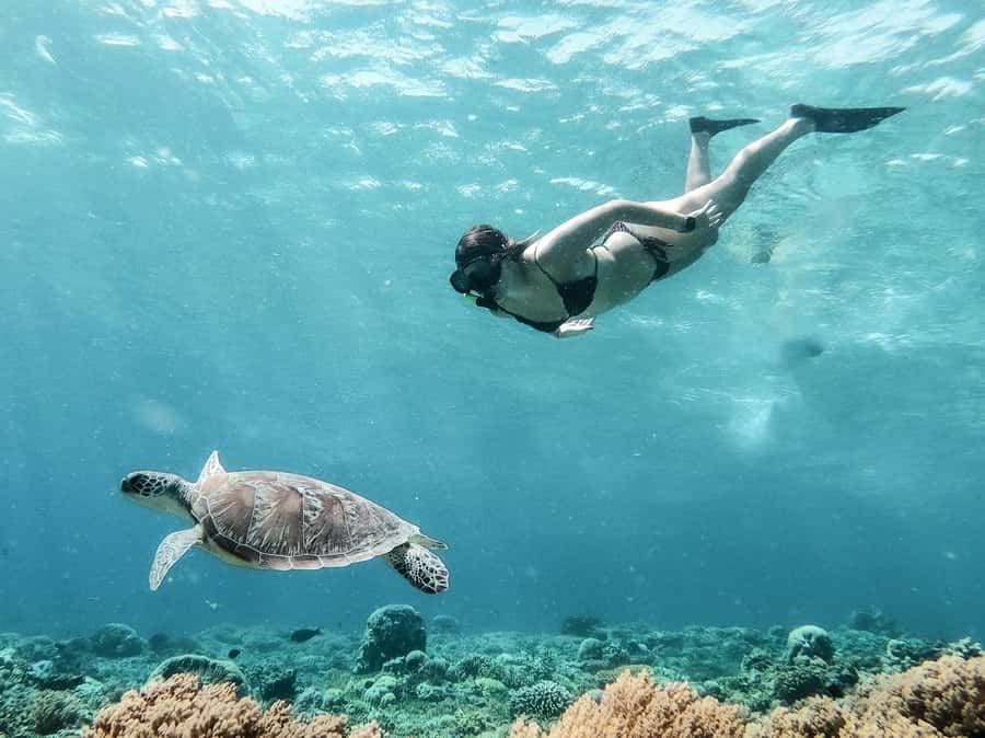From Gili Meno: Private Snorkeling with Turtle & Statue - Why a private boat changes the Gili snorkeling day