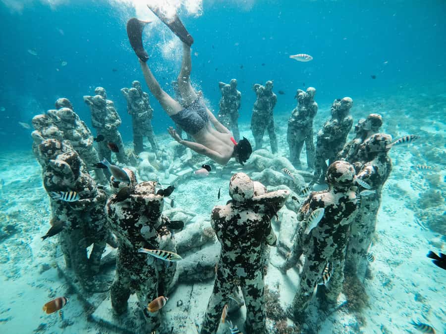 From Gili Meno: Private Snorkeling with Turtle & Statue - Stop one: coral, fish, and the underwater statue point