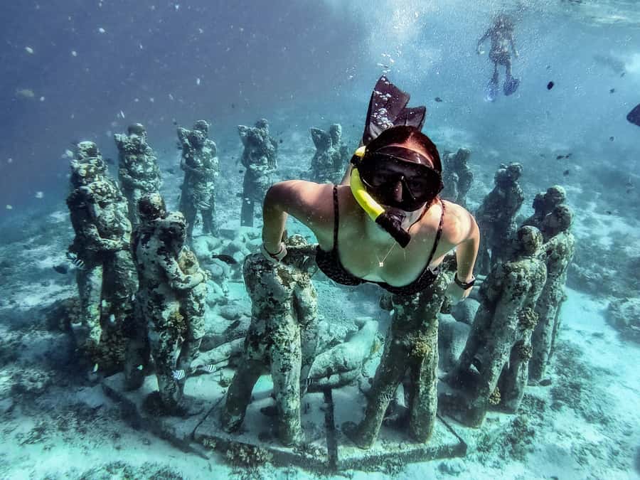 From Gili Meno: Private Snorkeling with Turtle & Statue - Stop three: another reef area around Gili Meno or nearby islands