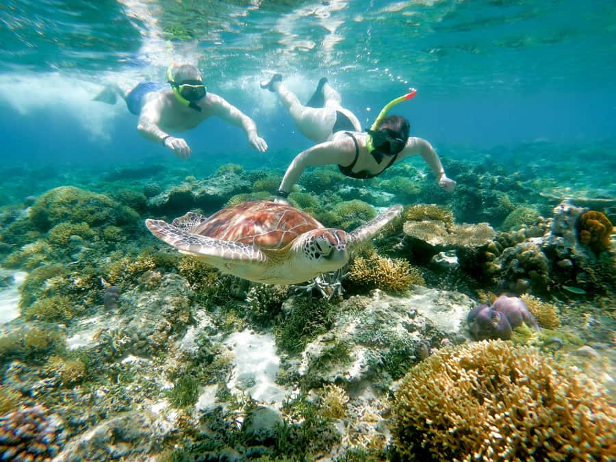 From Gili Meno: Private Snorkeling with Turtle & Statue - Gili Air break on the 3-hour and 4-hour options