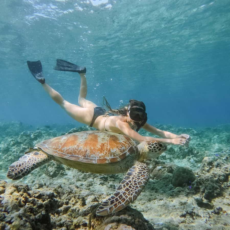 From Gili Meno: Private Snorkeling with Turtle & Statue - Setting out from Diana Cafe on Gili Meno