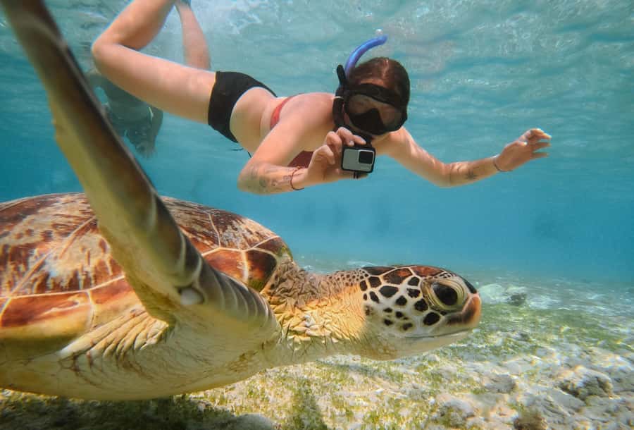 From Gili Trawangan: Gili Islands Snorkeling Boat Tour - Quick points before you book