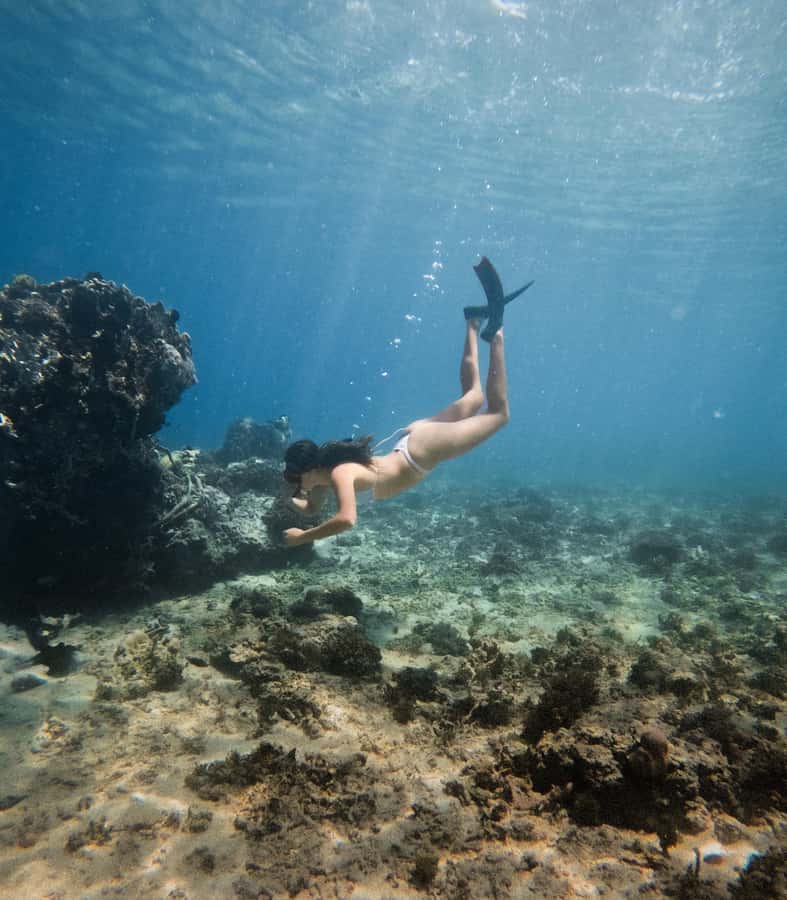 From Gili Trawangan: Gili Islands Snorkeling Boat Tour - Gili Air is your lunch and island break