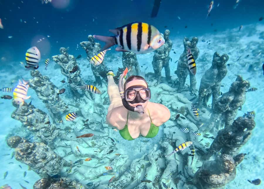 From Gili Trawangan: Gili Islands Snorkeling Boat Tour - First stop: coral, fish, and the underwater statues