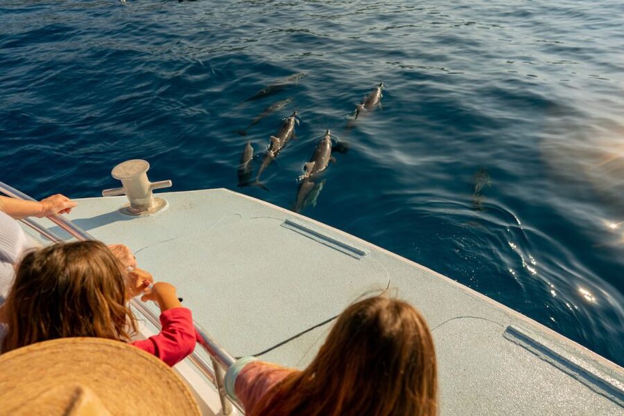 From Hawaii: Eco-Friendly Snorkeling Experience with BBQ - Lunch, drinks, and the ride back