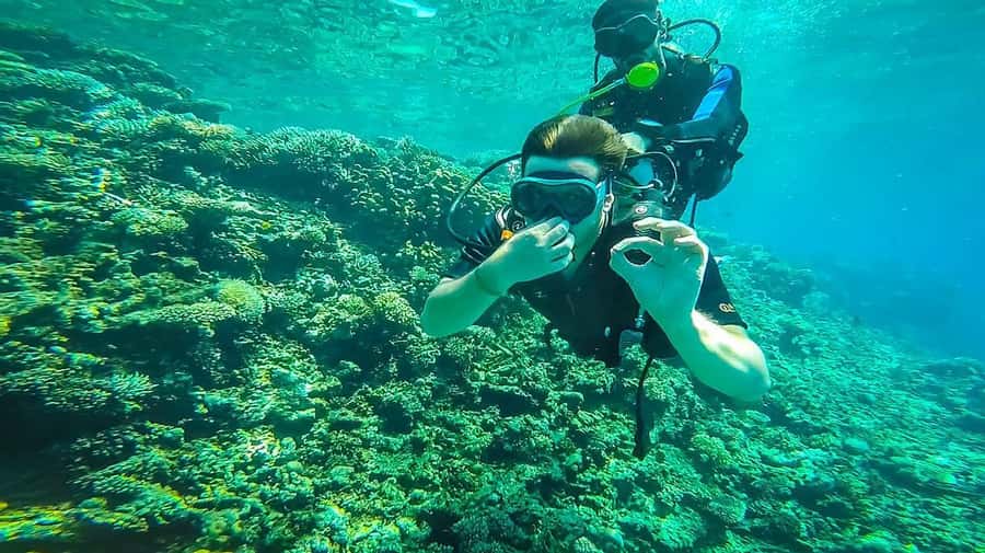 From Hurghada: Orange bay Snorkeling Cruise with Lunch - Key details before you book