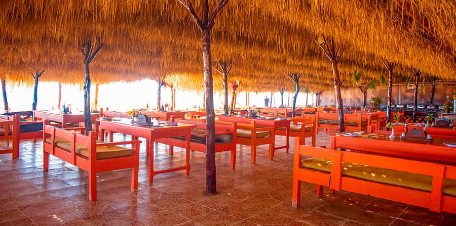 From Hurghada: Paradise Island Snorkeling Cruise with Lunch - Should you book Paradise Island?