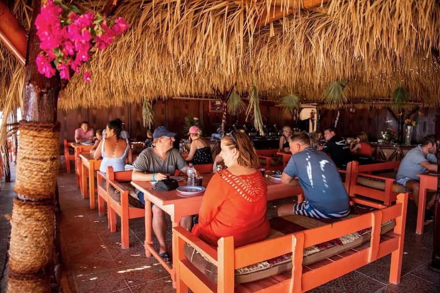 From Hurghada: Paradise Island Snorkeling Cruise with Lunch - Snorkeling the Red Sea coral