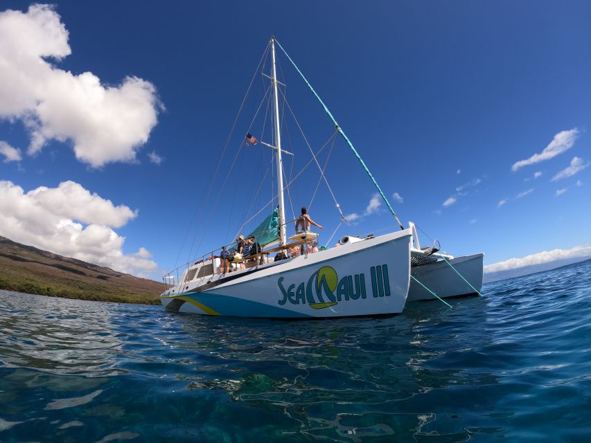 From Ka'anapali: West Maui Half-Day Snorkel Tour w/ Food - Fish, Turtles, Coral, and Possible Sharks