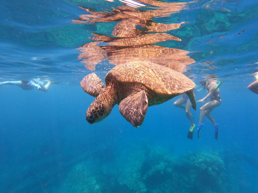 From Ka'anapali: West Maui Half-Day Snorkel Tour w/ Food - Choosing the Best Water for the Day