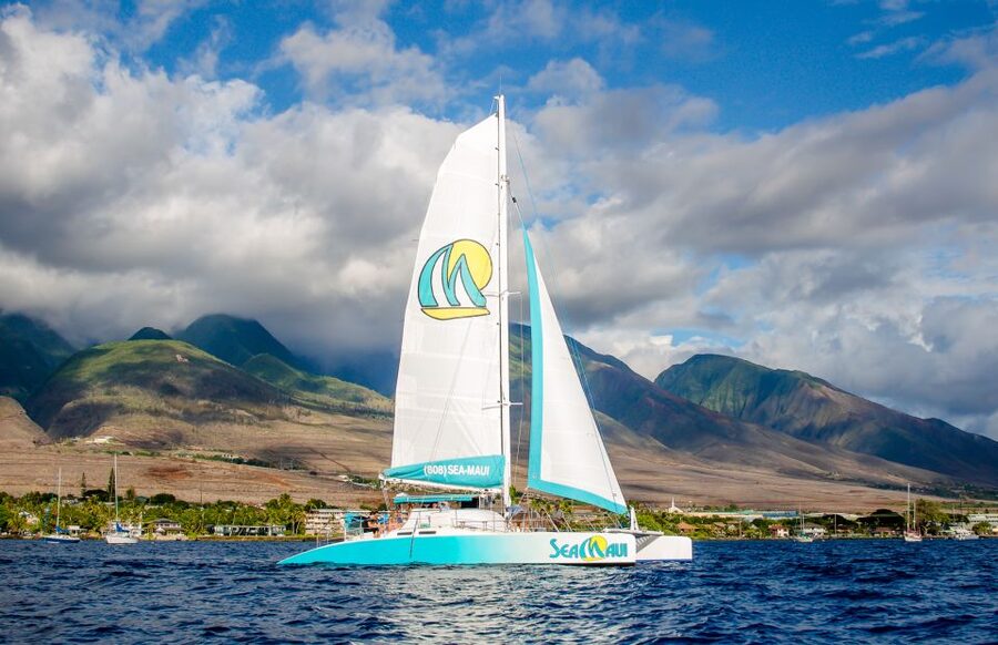 From Kaanapali: Afternoon West Maui Snorkeling w/ Drinks - Key points at a glance
