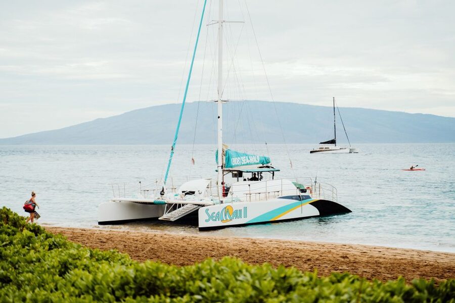 From Kaanapali: Afternoon West Maui Snorkeling w/ Drinks - Is $156 a fair price?