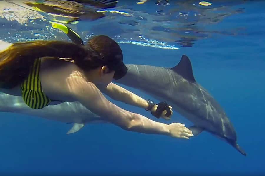 From Kendwa: Mnemba Boat Trip and Dolphin Snorkel Adventure - Key points at a glance