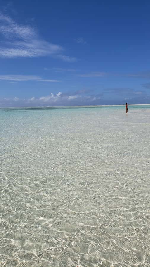 From Kendwa: Mnemba Boat Trip and Dolphin Snorkel Adventure - What the Mnemba reef stop is like