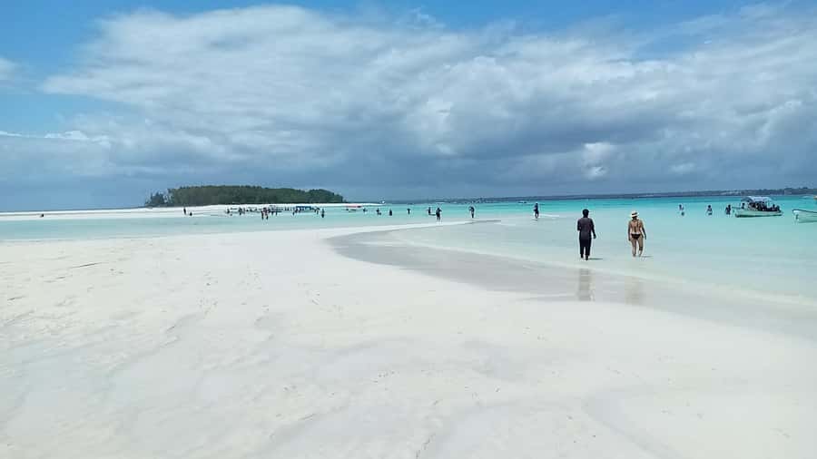 From Kendwa: Mnemba Boat Trip and Dolphin Snorkel Adventure - Who will enjoy this trip most?