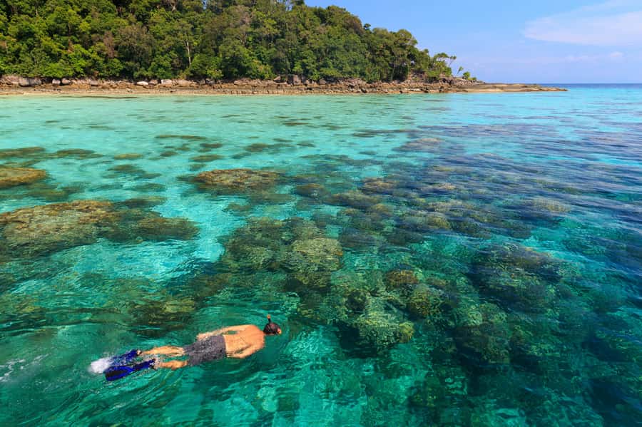 From Khao Lak: Full-Day Snorkeling in the Surin Islands - Three snorkeling sessions in clear tropical water