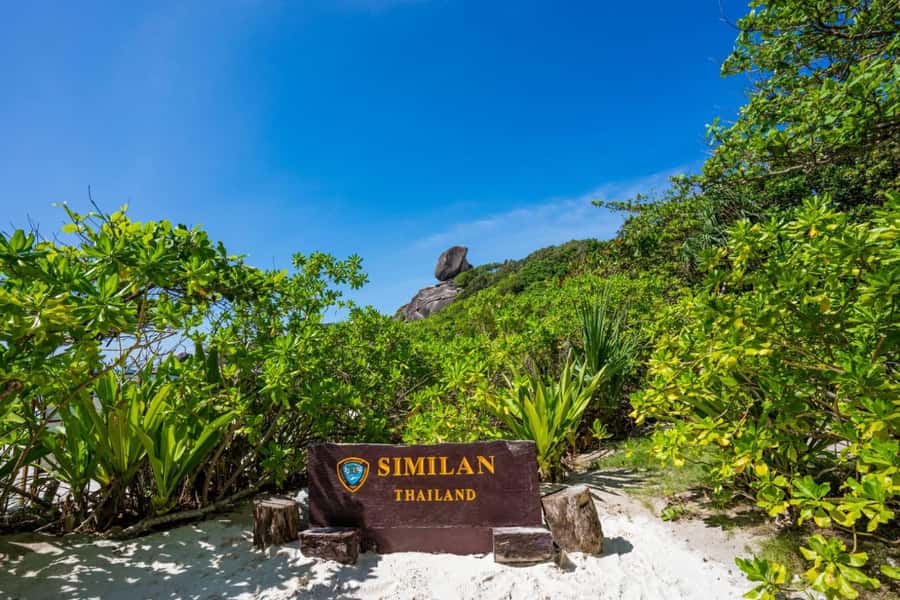 From Khao Lak & Phuket: Similan Islands Snorkeling Day Trip - Island Number 9 for fish, coral, and turtle spotting