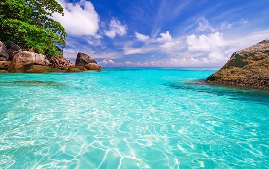 From Khao Lak & Phuket: Similan Islands Snorkeling Day Trip - Who will enjoy this day most