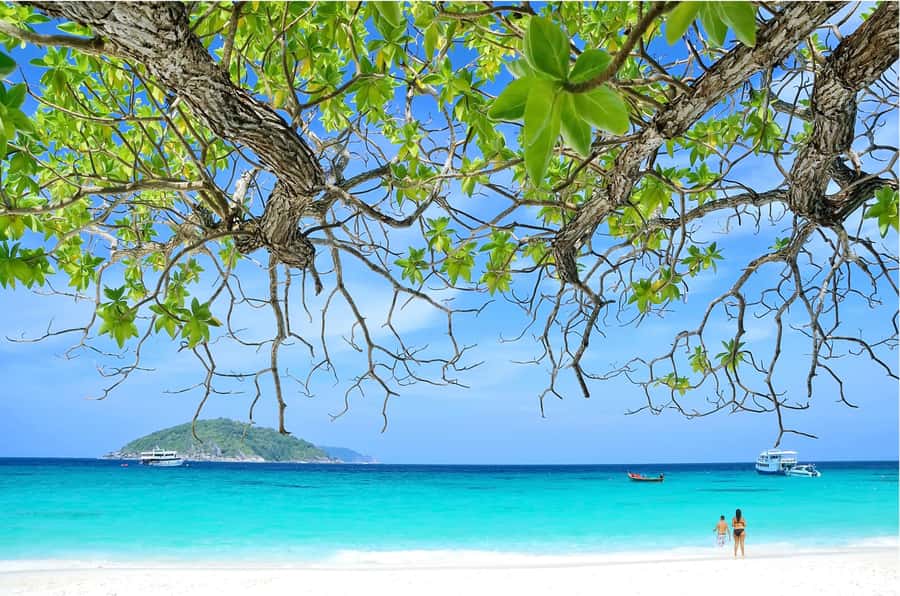 From Khao Lak: Similan Islands Day Trip with Snorkeling - The return journey and the real time cost