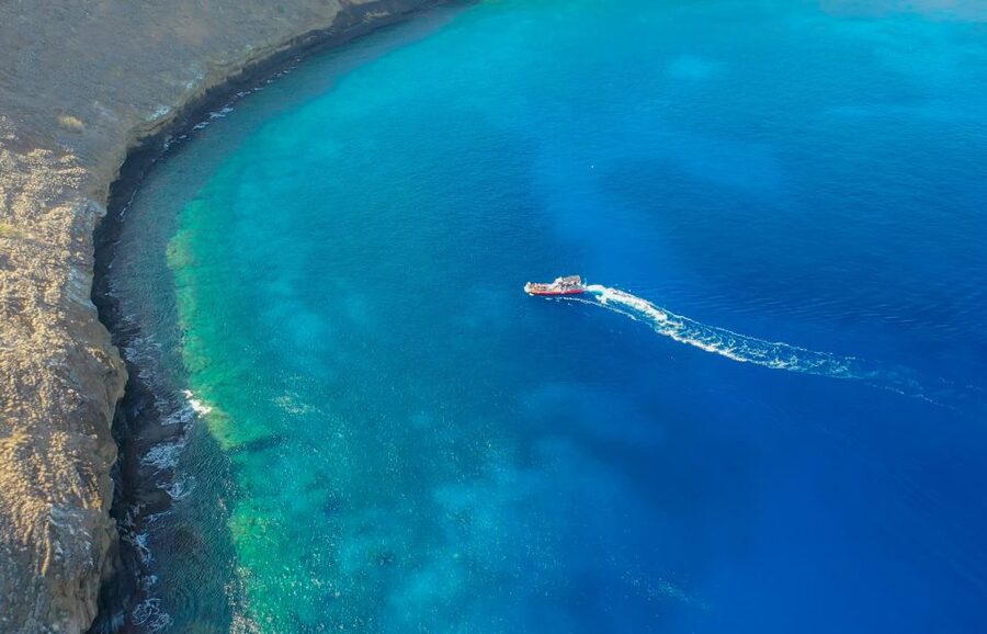 From Kihei: Molokini Crater and Turtle Town Snorkeling - What makes this three-hour Maui trip worth considering