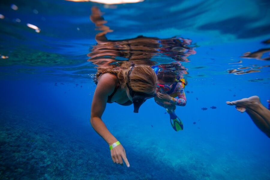 From Kihei: Molokini Crater and Turtle Town Snorkeling - Food, drinks, and the practical extras
