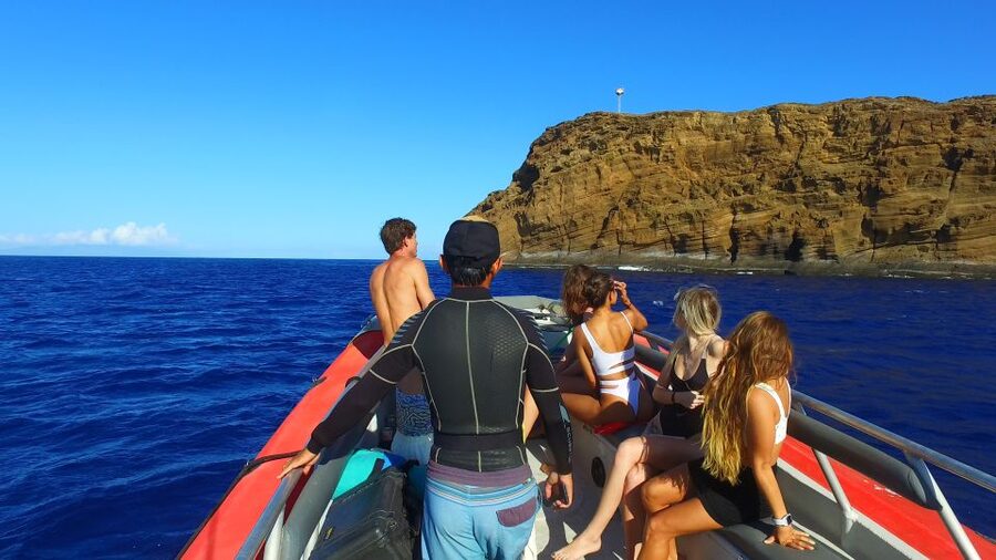 From Kihei: Molokini Crater and Turtle Town Snorkeling - Is $179 a fair price?