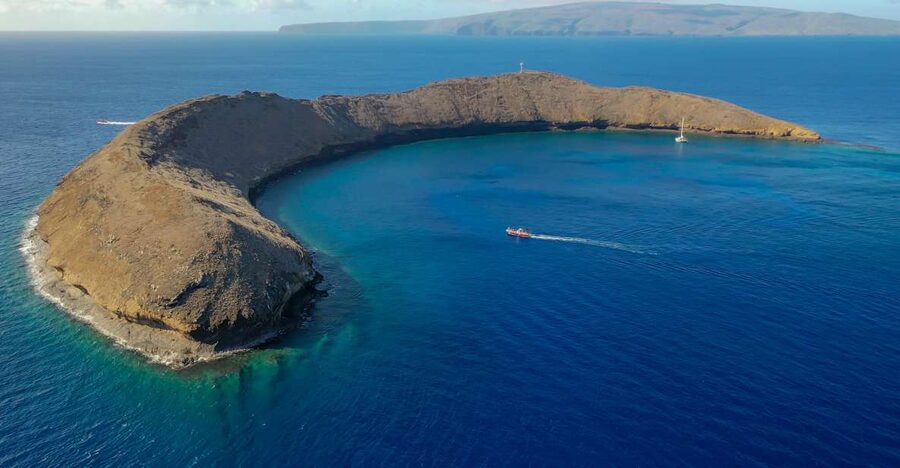 From Kihei: Molokini Crater and Turtle Town Snorkeling - Who should book, and who should skip it